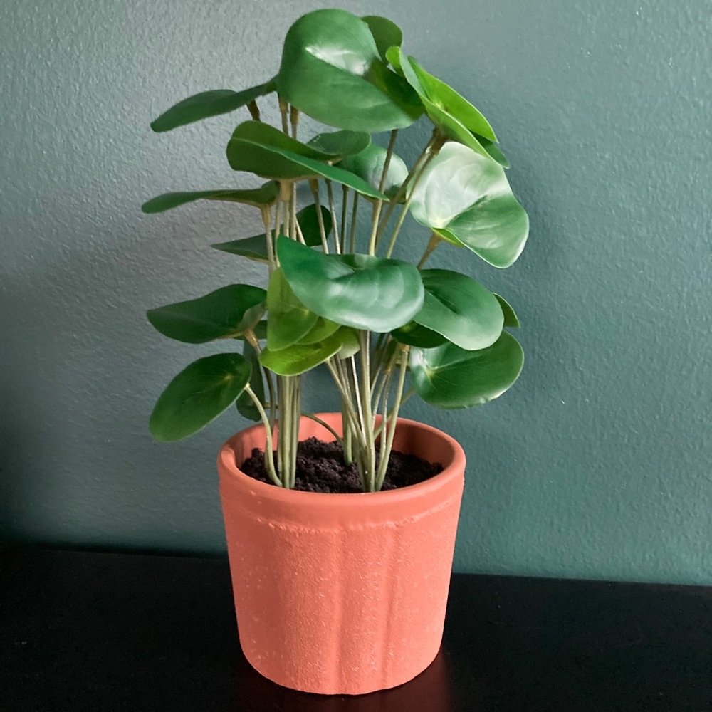Hearth & Hand Faux Pilea Plant - Picture 3 of 6